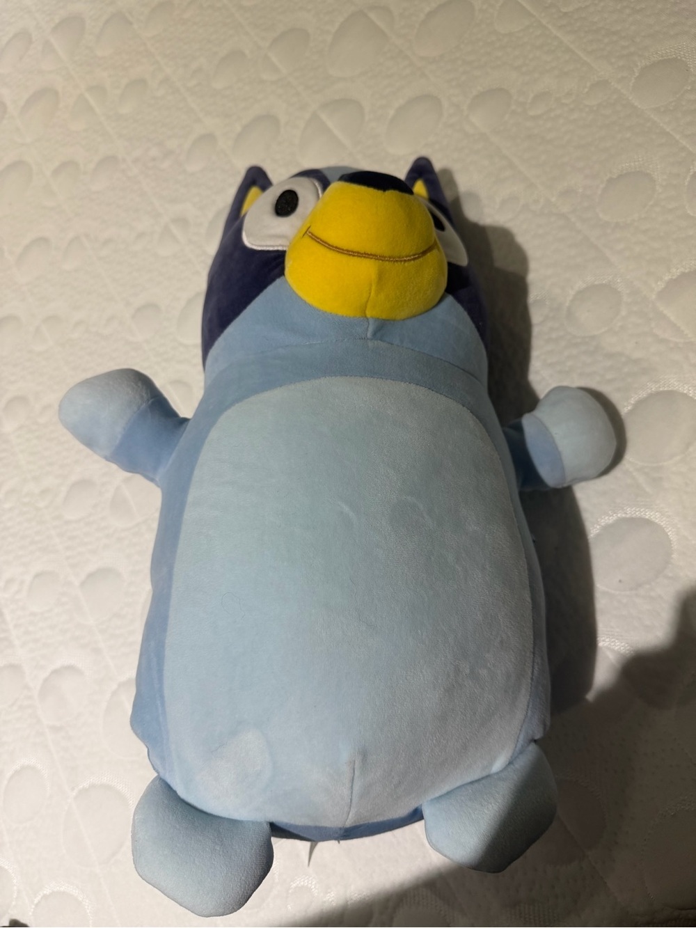 Bluey hugmees squishmallows